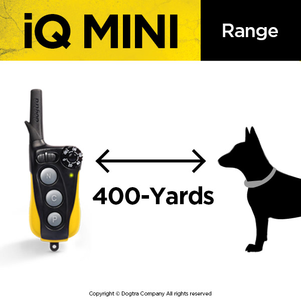 Dogtra online iq pet